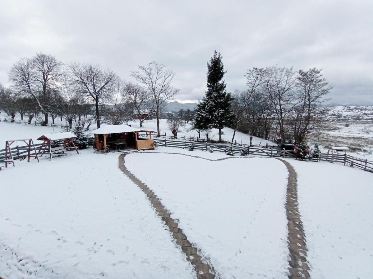 Vila Rem Bran  Buitenkant foto