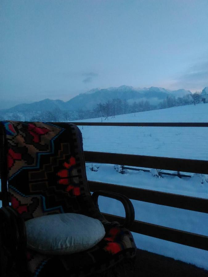 Vila Rem Bran  Buitenkant foto